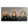 Maleri -  Chimpanzee: No See, No Hear, No Speak